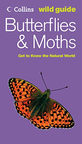 Butterflies and Moths By John Still