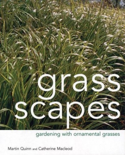 Grass Scapes