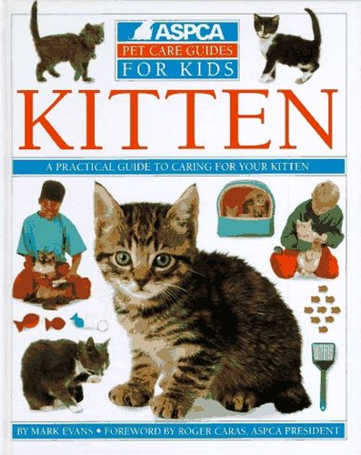 Kitten By Mark Evans Used World Of Books