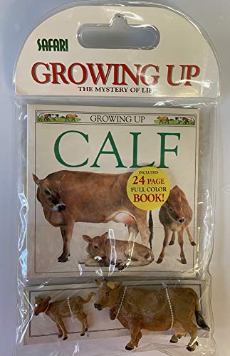 Calf