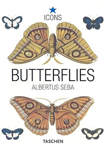 Butterflies By Albertus Seba